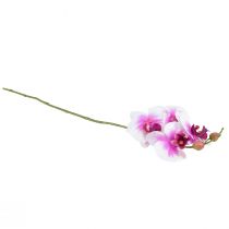 Artikel Orkidé Kunstig Phalaenopsis 4 Blomster Hvid Pink 72cm