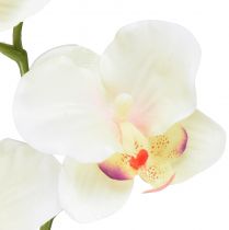 Artikel Orkidé Phalaenopsis kunstig 6 blomster creme pink 70cm