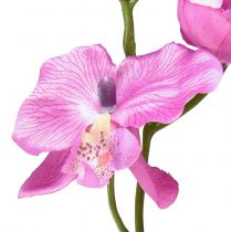 Artikel Orkidé Phalaenopsis kunstig 6 blomster lilla 70cm