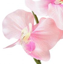 Artikel Orkidé Phalaenopsis kunstig 6 blomster pink 70cm