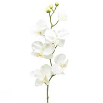 Artikel Orkidé Phalaenopsis kunstig 6 blomster hvid creme 70cm