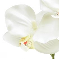 Artikel Orkidé Phalaenopsis kunstig 6 blomster hvid creme 70cm