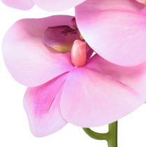 Artikel Orkidé Phalaenopsis kunstig 8 blomster pink 104cm