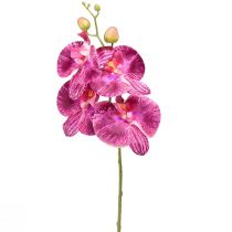 Artikel Orkidé flammet kunstig Phalaenopsis lilla 72cm