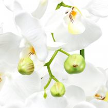 Artikel Kunstige orkideer til potten hvid 80cm