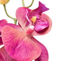 Artikel Kunstig orkidé Phalaenopsis Orchid Fuchsia 78cm