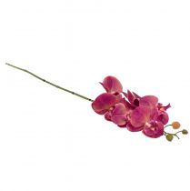 Artikel Kunstig orkidé Phalaenopsis Orchid Fuchsia 78cm