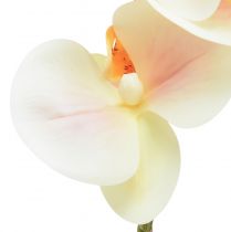 Artikel Kunstig orkidécreme Orange Phalaenopsis 78cm