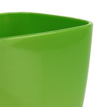 Artikel Orkidépotte skinnende Ø12,5cm lime 1 stk