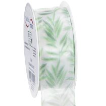 Artikel Organzabånd, chiffonbånd, grønt plantebånd, 40 mm x 15 m