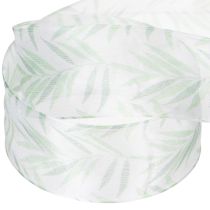 Artikel Organzabånd, chiffonbånd, grønt plantebånd, 40 mm x 15 m