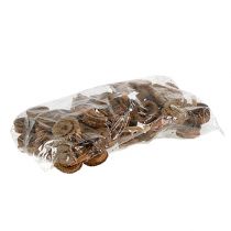 Artikel Palm Hane Nature 25 stk