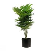 Artikel Palm dekorativ vifte palme kunstige planter potte grøn 80cm