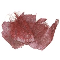 Artikel Palmefiber til hobbyarbejde Bordeaux hvidvasket 20-40 cm 250 g