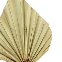 Artikel Palmspear Natural 100 stk