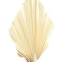 Artikel Palmspear mini bleget palmespyd tørret 50 stk