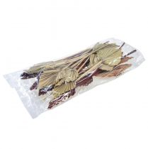 Artikel Palmespyd mini assorteret Marokko 30 stk