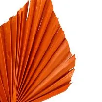 Artikel Palmespyd Appelsin 65 stk