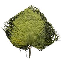 Artikel Palmebladsdekoration til eksotiske arrangementer og bordpynt, 5 stk.