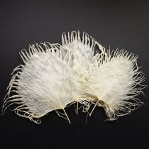 Artikel Palmeblade tørrede dekorative blade bleget 45 cm 5 stk