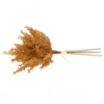 Artikel Kunstig pampas græs Orange tørt græs 35cm 4stk