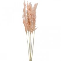 Tørret pampas græs pink tørrede blomster naturlig dekoration 65-75cm 6 stk.