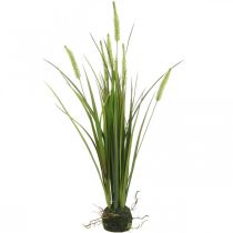 Kunstig rørgræs med rodkugle kunstplante H63cm
