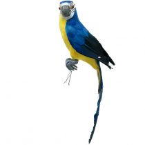 Dekorativ papegøje blå 44cm