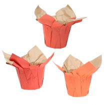Papir potteplanter orange / rød Ø10cm 12stk