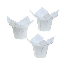 Papirplantere hvid Ø8cm 12stk