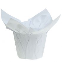Papirplantere hvid Ø8cm 12stk
