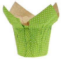 Papirpotte Ø10cm H8cm grøn 8stk