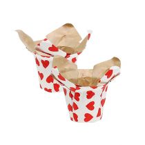 Papirplanter med hjerter hvidrød Ø8cm H6.5cm 8stk