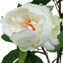 Kunstig Paeonia, pæon i potte, dekorativ plante hvide blomster H57cm
