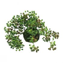 Artikel Grøn plante kunstig perlesnor i moskugle 38cm