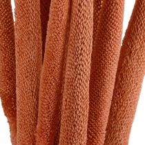 Artikel Perlehirse siv Babala hirse orange 70cm 10 stk