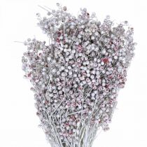 Peberbær dækket med sne, vinterpynt, tørrede blomster, advent, pink peber hvidvasket 170g