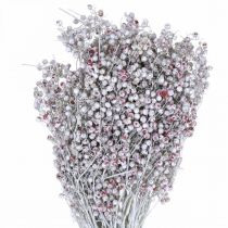 Artikel Sneede peberbær, vinterdekoration, tørrede blomster, advent, pink peber vasket hvid 170g