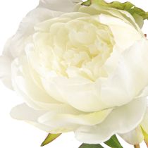 Artikel Kunstige pæoner med 3 blomster hvid creme 81cm 2 stk