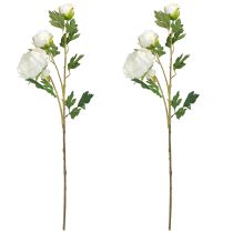Artikel Kunstige pæoner med 3 blomster hvid creme 81cm 2 stk