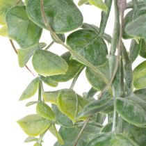 Artikel Kunstig eukalyptus-guirlande til hængende plante til indendørs og udendørs boligdekoration, 92 cm