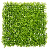 Artikel Kunstig buksbom plantemåtte 55x55 cm til dekorativ vægdekoration