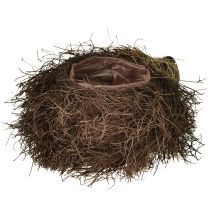 Artikel Pindsvinepotte lavet af slyngplanter 22 cm x 25 cm