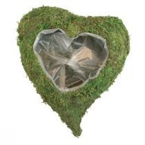 Artikel Plantehjerte mosgrøn planteskål hjerte 20x20x5,5cm