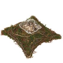 Artikel Plantepude med slyngplanter, mos, planteskål, naturlig 20×20×6,5 cm