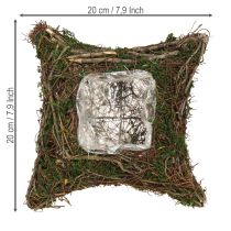 Artikel Plantepude med slyngplanter, mos, planteskål, naturlig 20×20×6,5 cm