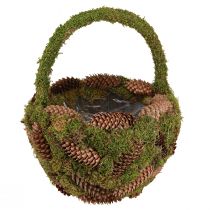 Artikel Plantekurv mos grankogler kurv med hank Ø32cm H42cm