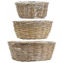 Artikel Sæt med 3 fletkurve, plantekasser, dekorative kurve, hvidvasket vintage stil, Ø21,5/26/31 cm til hjem og have
