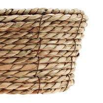 Plantekurv søgræskurv oval dekorativ kurv 32×19×12cm
