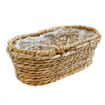 Plantekurv søgræskurv oval dekorativ kurv 32×19×12cm